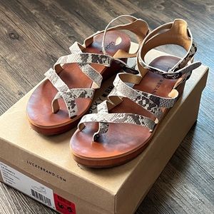 Lucky Brand size 6.5 printed sandal
